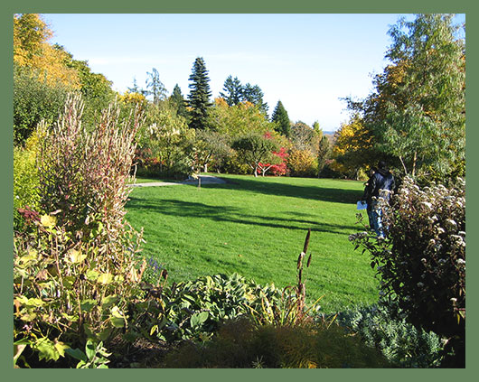 Этот уникальный парк был пожертвован городу Суррей Франциской Дартс после смерти ее мужа Эдвина. Этот садовый рай не имеет себе равных в регионе по количеству редких местных растений, деревьев и кустарников.