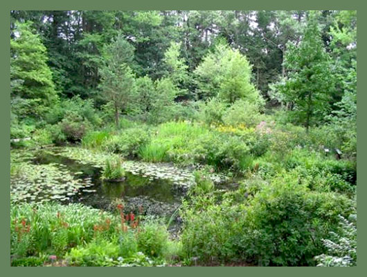 Этот ботанический сад был создан Уиллом С. Кертисом, ландшафтным дизайнером. Это - уникальный гибрид ботанического заказника и сада, и его существование стало возможным благодаря целенаправленным усилиям по сохранению дикорастущих растений.