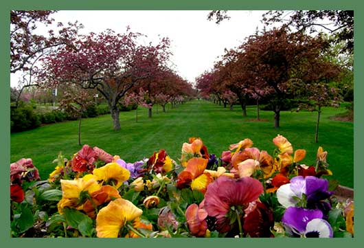 Сад также располагает одной из замечательнейших коллекций декоративных деревьев и кустарников, здесь есть оранжерея и самая большая в Северной Америке теплица по разведению бабочек.