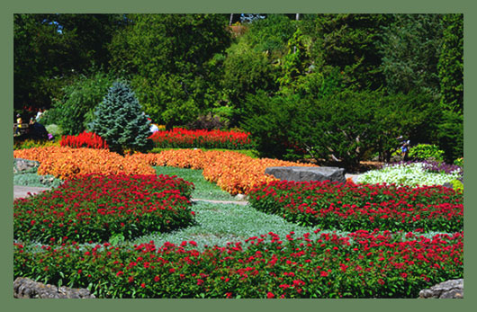 Royal Botanical Gardens – Королевские ботанические сады