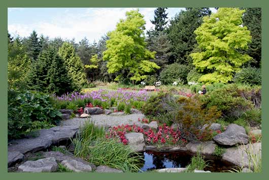 Холмистые луга и газоны, безмятежные озера и драматические скалы – так выглядит Ботанический сад Ван Дусена, один из самых живописных ландшафтных парков, где сочетаются горы и урбанистический ландшафт Ванкувера.