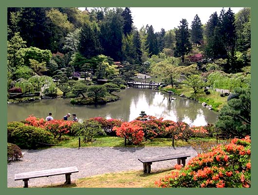 Washington Park Arboretum and Japanese Garden – Дендрарий и Японский сад парка имени Вашингтона