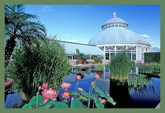 New York Botanical Garden – Ботанический сад Нью-Йорка